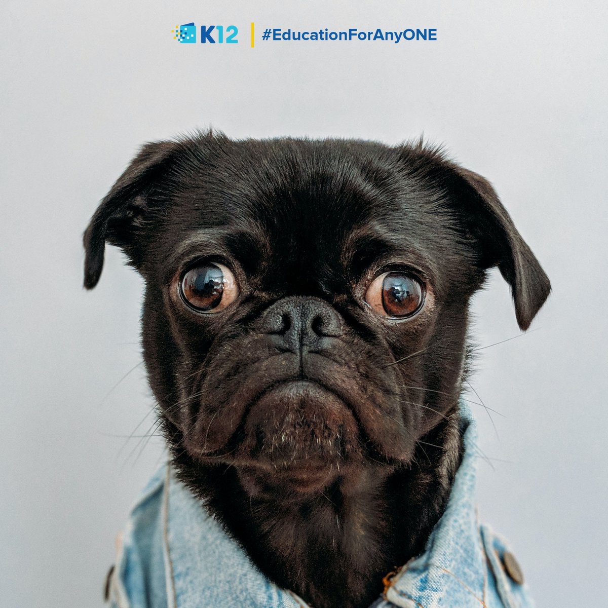 That face when you realize summer is almost over and the school year is right around the corner! Interested in enrolling at K12? Find out more ➡️ ow.ly/Qj6F50As08W