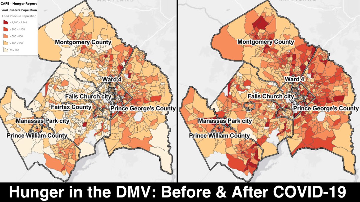 foodbankmetrodc's tweet photo. Over 400,000 people in our region were food insecure before COVID-19 — and now, that number is expected to rise by at least 48%. Our new Hunger Report 2020 sheds light on the growing #DMVHungerCrisis, with recommendations for exploring the path forward: https://t.co/9g9hW7lsm4 https://t.co/o1eTfYKfST