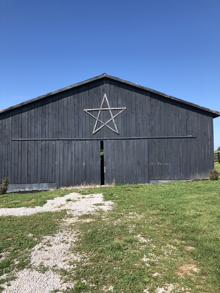 Our first SAE Takeover is our very own Chapter President, Mackenzie Alexander! Mackenzie’s SAE is horse production! She started her SAE 5 years ago. She says she has learned a lot about hard work, patience, and putting in time to see a wanted result!