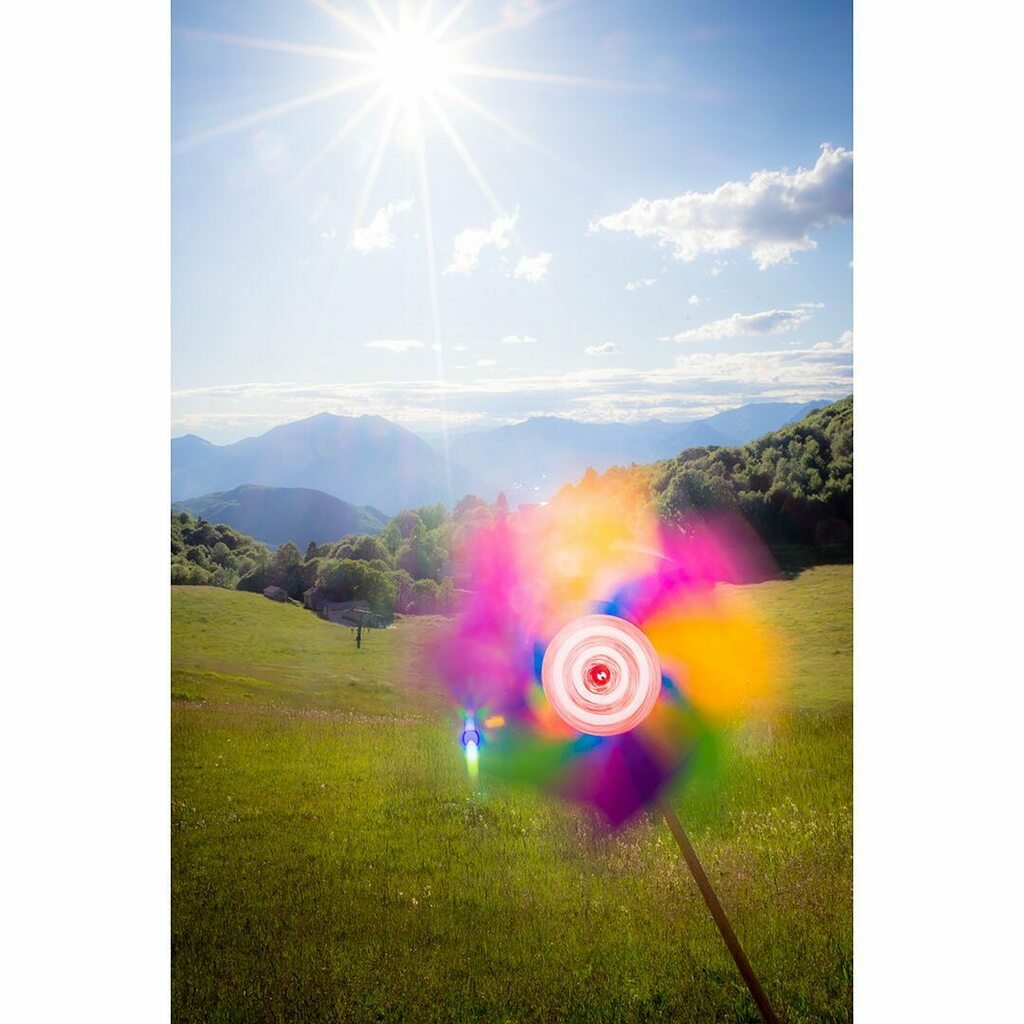myneit's tweet photo. Pinwheel
.
#pinwheel #toy #pinwheeltoy #color #colors #colorfull #sky #sun #rayoflight #mountains #fields #grass #trees #nature #landscape #landscapephotography #stilllife https://t.co/syOL941eIs https://t.co/4HlM7I2Ory