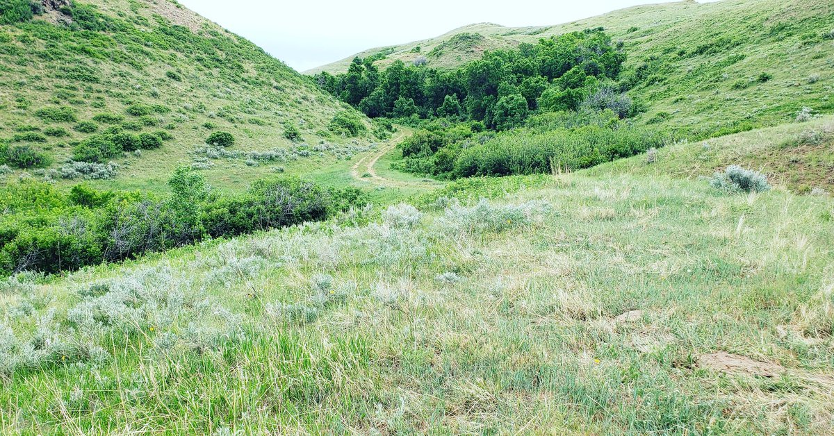 JG_Bison's tweet photo. In our latest blog we discuss our process for searching for land. Finding the right land is not easy. There are so many factors to consider, both personal and business related.

Visit: https://t.co/qpK5r9iRsR

#JGBison #DoItForTheBison #BeLikeBison #Blog https://t.co/NmhwPZRBI3