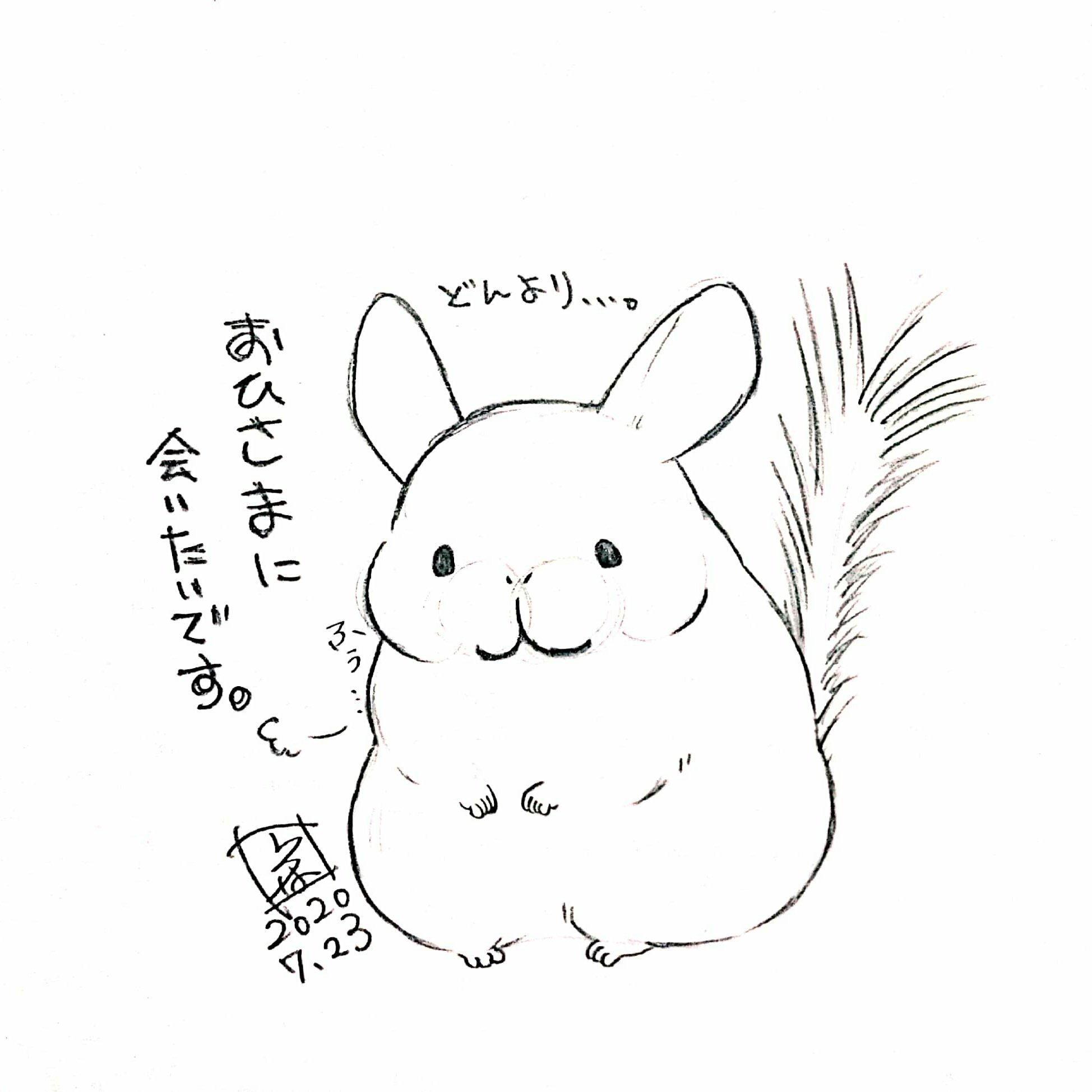 いろはの日常 Chinchilla チンチラ ペット げっし類 げっ歯類 イラスト アナログ絵 アナログ イラスト ラフ画 モノクロイラスト モノクロ 小動物 小動物イラスト モフモフ チンチライラスト 小動物 小動物イラスト モフモフ 雨 曇 梅雨