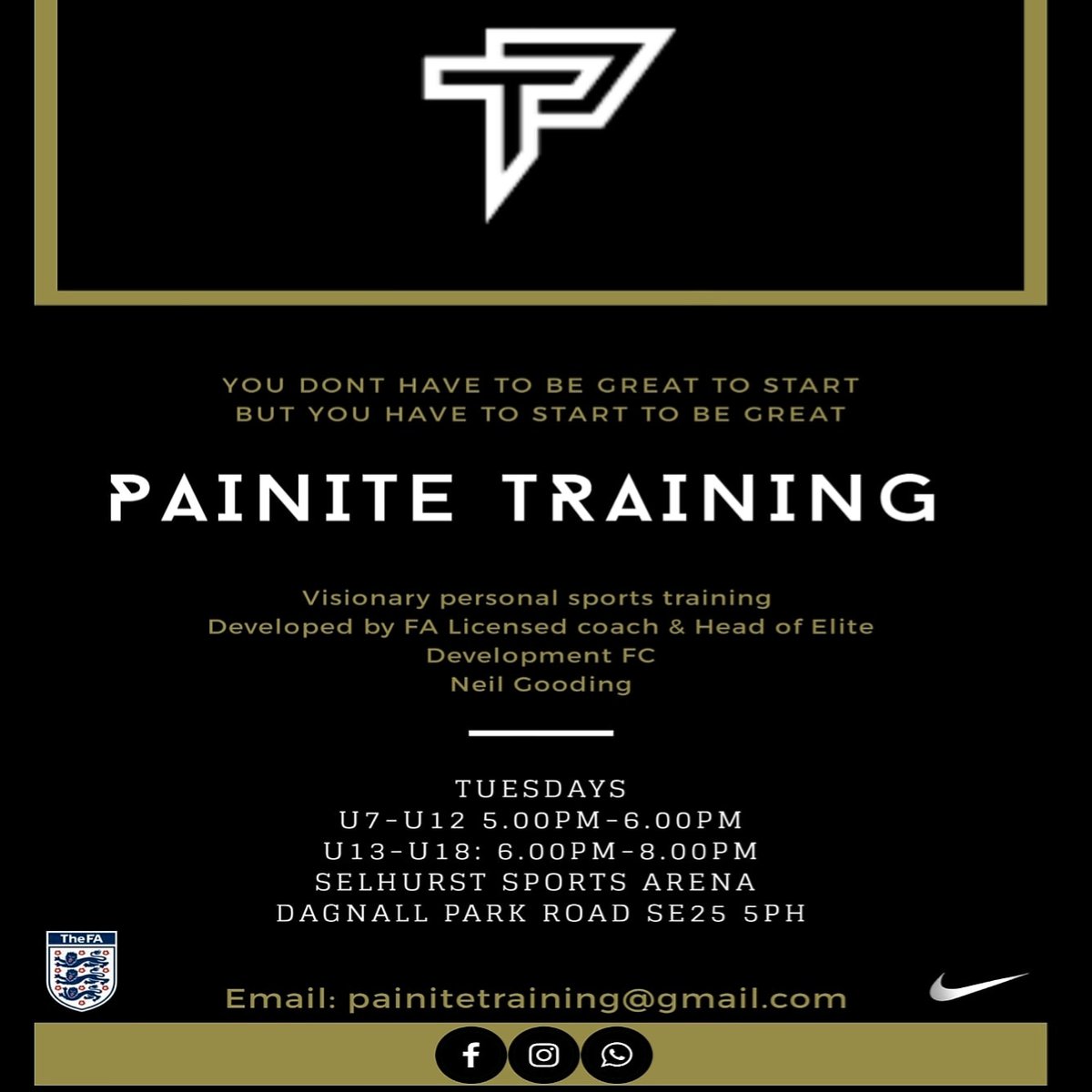 PAINITE TRAINING tweet media