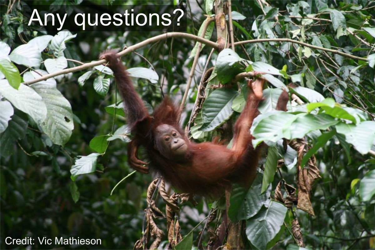 6/6 We aim to contribute evidence that helps manage wildlife in oil palm. Watch this space for further outputs! Thanks to! @BocediGreta  @JMJTravis  @m_ddlvoigt  @NicolasJDeere  @marcancrenaz  @emeijaard  @SergeWich  @NERCscience  @PsgbStudent