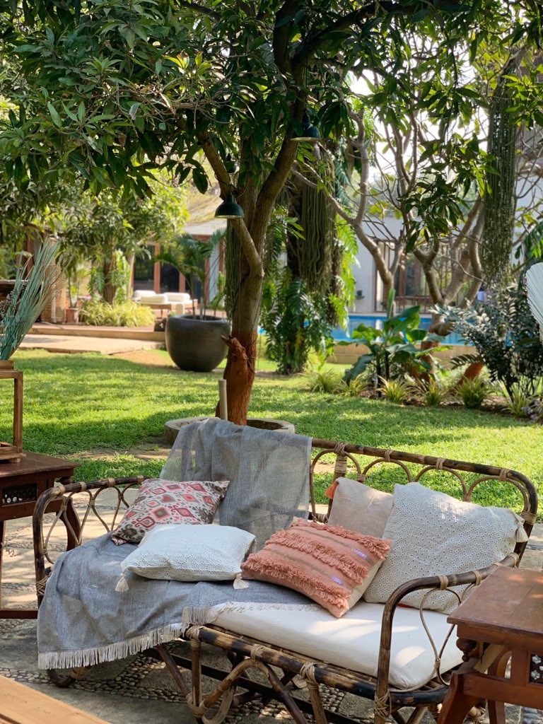 VrajWedding's tweet photo. Beautiful can sofas and can chairs available for rent contact:9909590310
#beautifulparty #decor #decortion #party #sitting #decorfurniture #cansofa #canchair #rentfurniture https://t.co/Z29tKnRBEf
