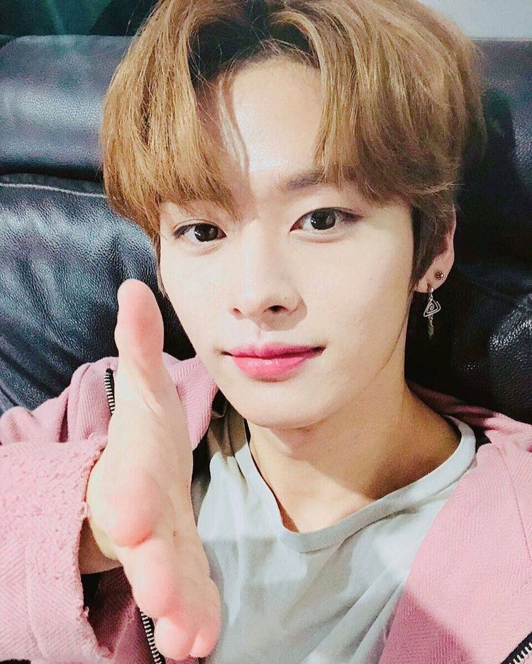 how to organize and add folders to your bookmarks — a thread