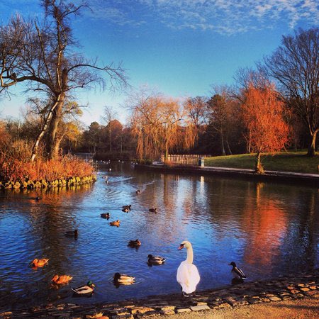 Beautiful Teesside 

Ropner Park, Stockton, TS18