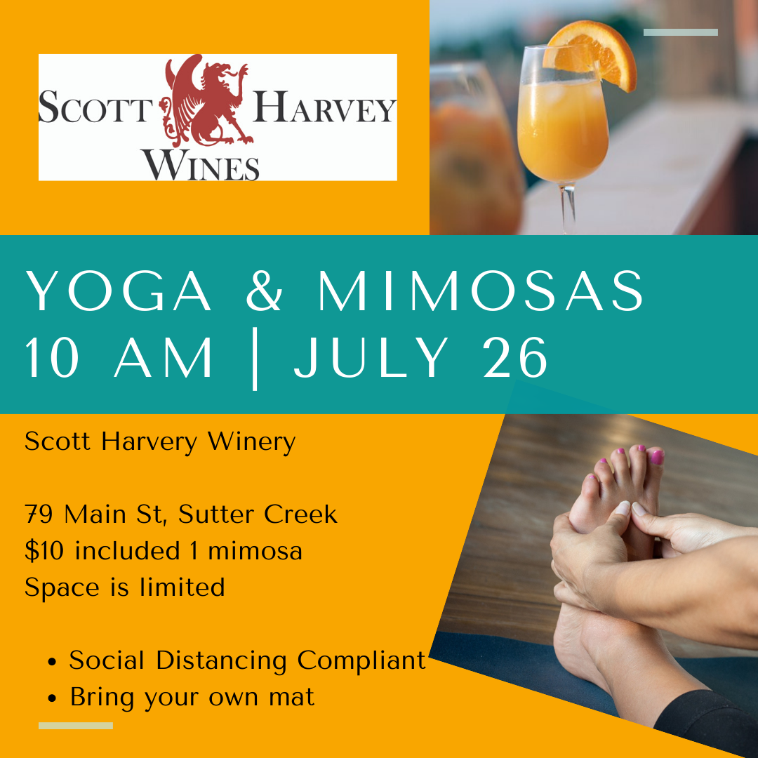StudioLaurus's tweet image. There are some spots left!  Get outside and Join us for Yoga &amp;amp; Mimosas, July 26th, 10 am Scott Harvey Winery - mailchi.mp/784784532189/y…