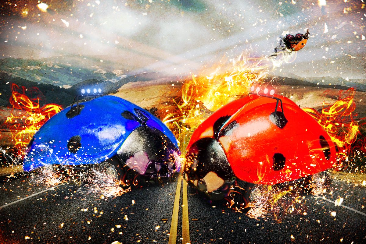 segare_design's tweet photo. #Photoshop #フォトショップ
#画像加工　#image_processing
#画像合成　#image_composition
#デザイン　#design
#スイッチャー #switcher
#befor #after
#テントウムシ #ladybug
#車 #car
#レース #racing https://t.co/mDaysQ8CEH