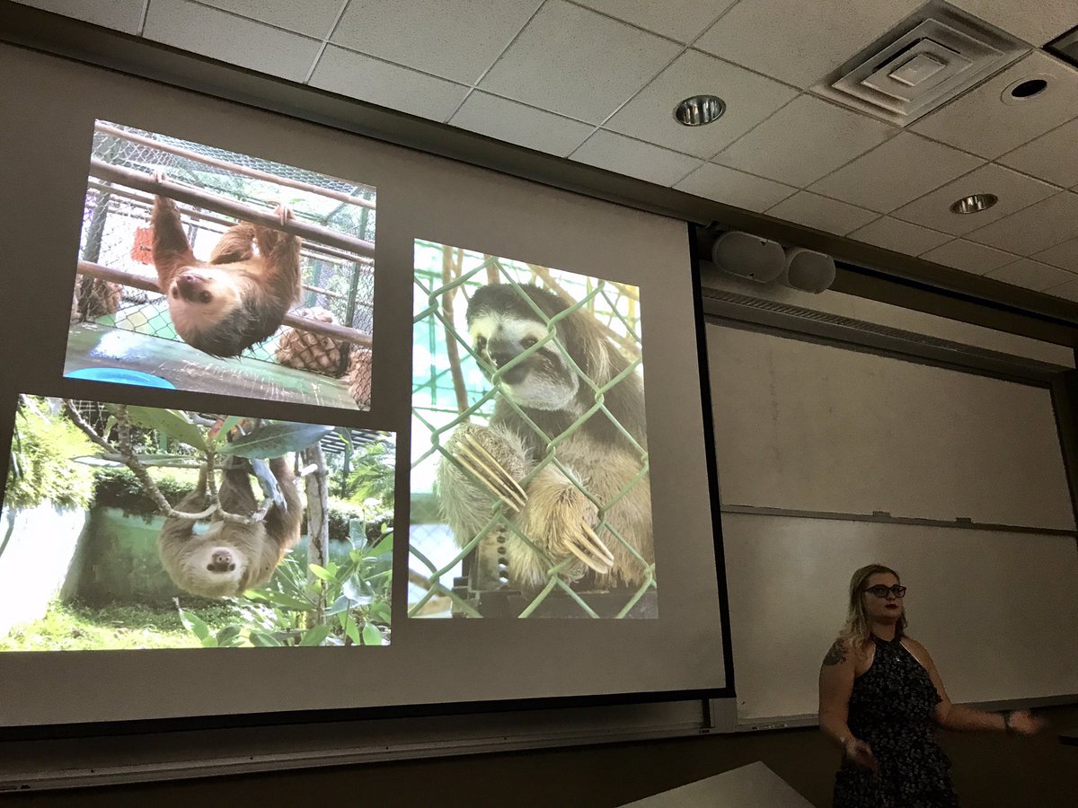 biomechanicsYSU's tweet photo. 3 cheers for @angelamarie1812 who successfully defended her MS thesis. Super cool research on #sloth bones & tendons #butcherlab #YSUSTEM https://t.co/xbHyUO0Y8g