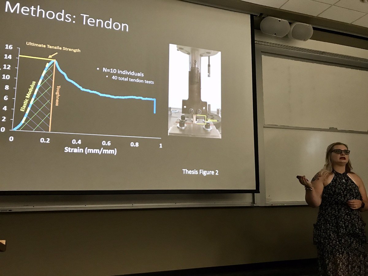 biomechanicsYSU's tweet photo. 3 cheers for @angelamarie1812 who successfully defended her MS thesis. Super cool research on #sloth bones & tendons #butcherlab #YSUSTEM https://t.co/xbHyUO0Y8g