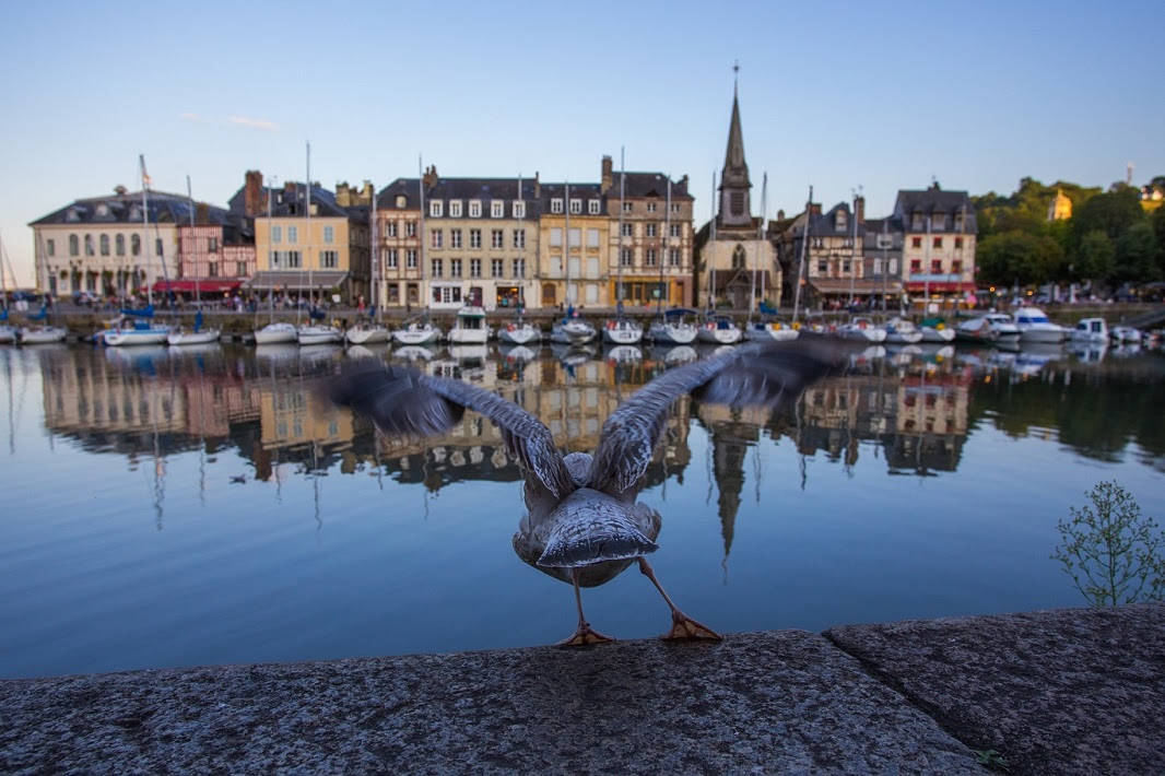 Even toe aan rust en ontspanning? Domaine de la Catinière  is een 4 sterren camping van @lefrenchtime in Normandië. Door de ideale ligging tussen Pont de Normandie en het strand kan je hier heerlijk ontspannen en genieten van de omgeving.