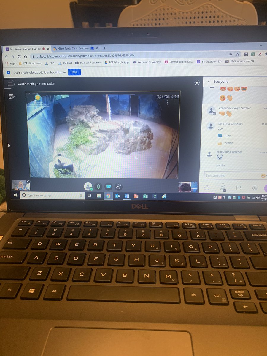 jmwarner's tweet image. Thanks @KusumRana2 for the idea to check out the @smithsonian @NationalZoo web cams! We did a review and as a reward for working so hard this summer we checked out these awesome animals! #shesesy