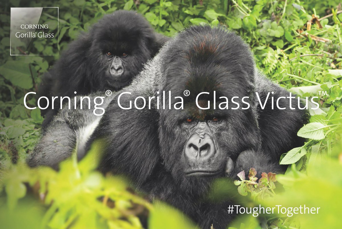 #Samsung is the First Brand to use Corning®Gorilla®Glass Victus ✅
#GorillaGlass7 #GorillaGlassVictus

@stufflistings @Sudhanshu1414 @KaroulSahil @Tech__Cosmos @AtulBazaar @TechnoAnkit1 @techinm1 @techylogy @TechCarbine @TrendingTech_1 @AmreliaRuhez @Gadgetsdata @thegadgetshub