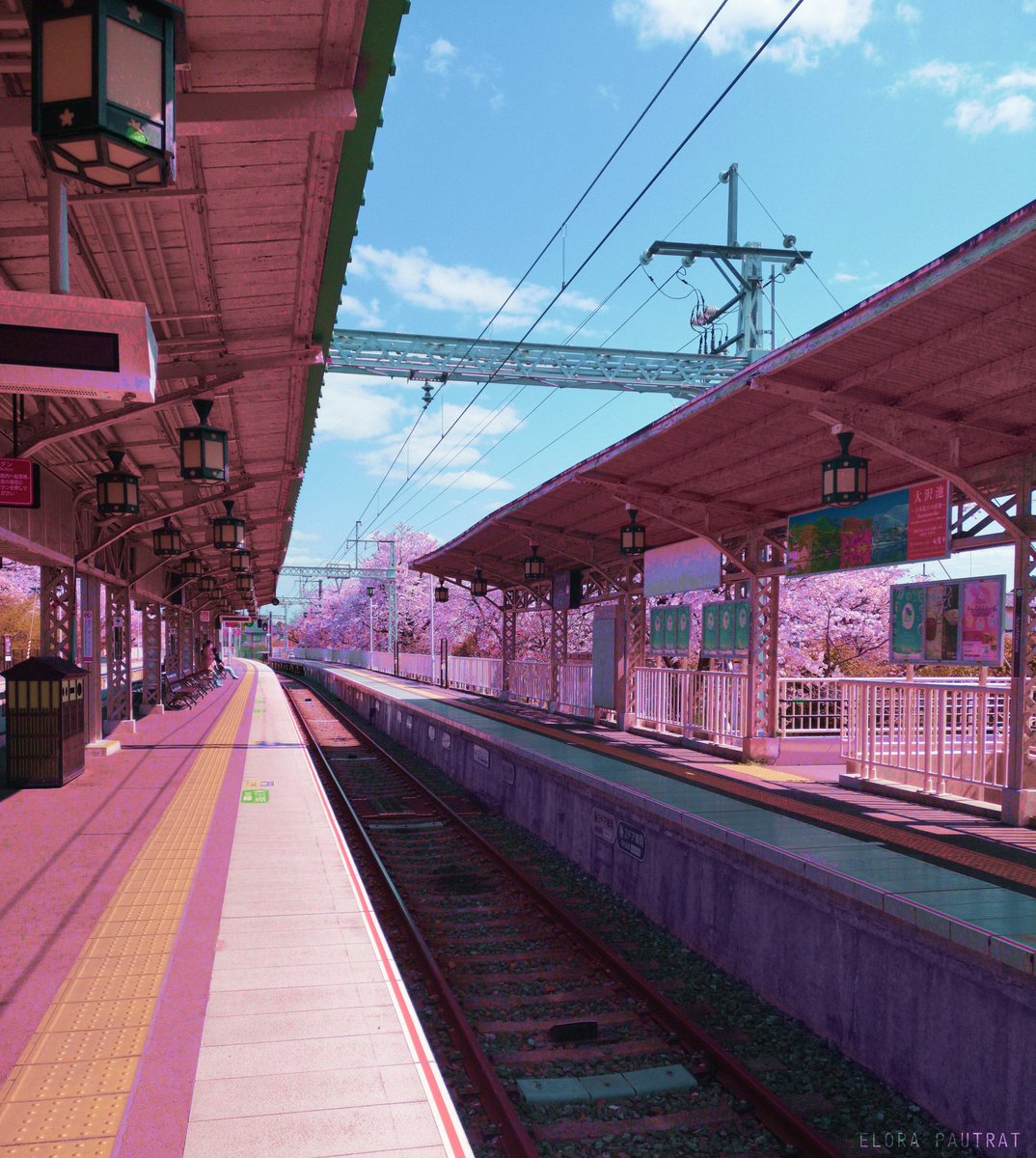 Elora 🌙 tweet media