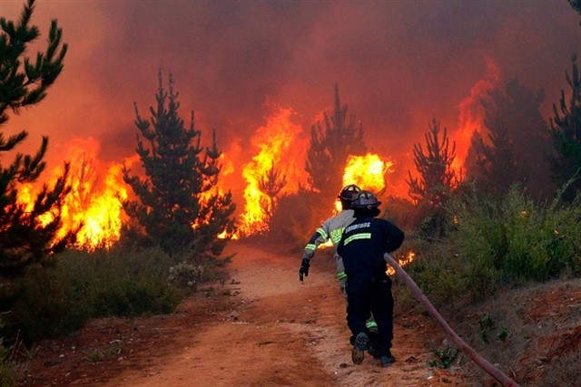 guardiacivil's tweet photo. Tirar una colilla por la ventana de un coche puede dar origen a una sanción administrativa de 200 € y 4 ptos., pero si se produce un incendio forestal podría convertirse en un delito con una pena de 6 años de cárcel. 

#TenCabeza #VeranoSeguro 
#StopIncendios #062 📲 #SEPRONA https://t.co/w4QTpsiUZp