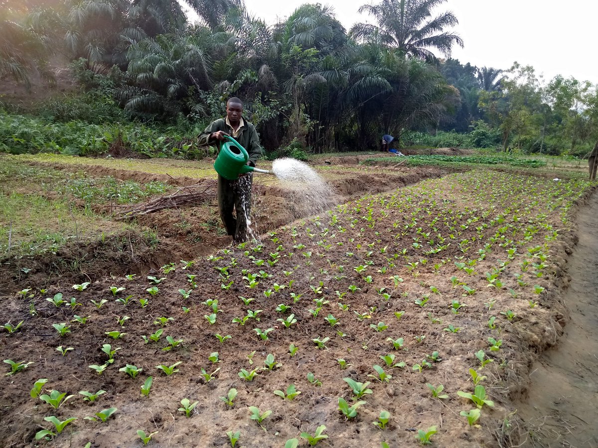 La population de SAYA lance un appel, pour soutenir les agriculteurs avec les outils agricole. <a href="/FAO/">Food and Agriculture Organization</a> <a href="/PNUDRDC/">PNUD RDC</a> <a href="/giz_gmbh/">GIZ</a> <a href="/CIFOR/">CIFOR</a> <a href="/Cordaid/">Cordaid</a> @CRSnews <a href="/CCFD_Loiret/">CCFD-Terre Solidaire Loiret</a> <a href="/CaritasCongo/">Caritas Congo Asbl</a>  pour contacter le bureau du CEMIWA : #+243821650092 besoin de vos générosités <a href="/Abbe_Pierre/">Abbé Pierre</a> <a href="/Vodacomcongo/">Vodacom RDC</a>