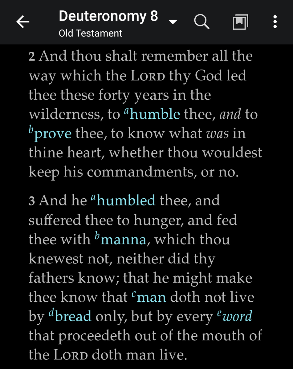 It's important to note too that we are taught to remember not only the heartwarming successes but also the failures, and the results of not following the Lord. Additionally, there are several times the scriptures identify not remembering these things as a symptom of wickedness.
