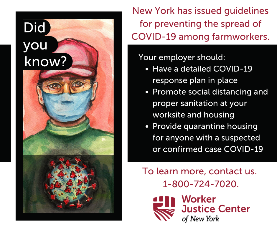 WorkerJusticeNY's tweet photo. Too many NY farmworkers are at a high risk of exposure to @COVID19 at work. Employers must do everything in their power to protect our essential workers. Lawmakers must enact enforceable health & safety protections.
#ProtectNYFarmworkers
#EssentialButExcluded
#WJCNY https://t.co/0rttVCjMDp