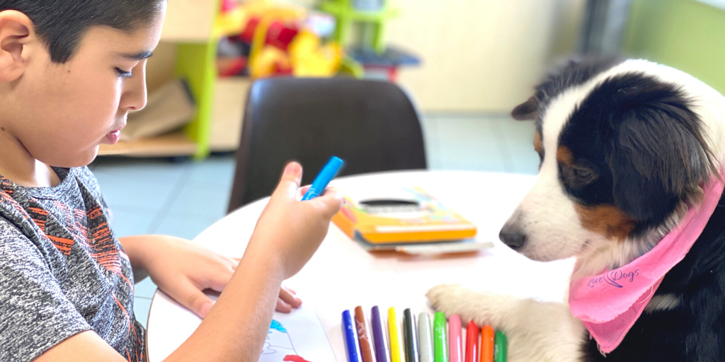 LoveDogs_fr's tweet photo. Dessiner des traits et les regarder, c'est commencer à relier 2 espaces. C'est ce que nous travaillons avec Amin pr donner une signification à son tracé et lui faire prendre conscience de ce qu’il fait dans le but qu’il fasse le lien entre Ora et le dessin qui la représente. 🐶✍ https://t.co/P25788Bone