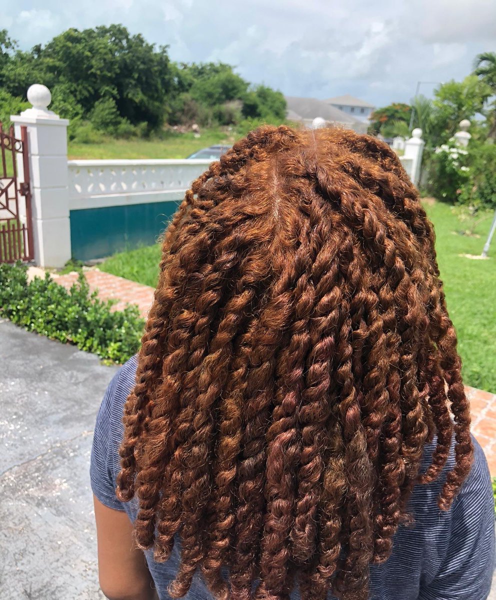 trueblendsbah's tweet photo. #TRUEREVIEWS : This #TrueBlendsBabe @ttattie got her hands on the NEW Honey Coconut Twist + Loc Butter a bit early. She used the styler to create this beautiful mini twist set. Just look at the moisture and shine! Order today for just $16.00! 🌿 https://t.co/Q2hwMQTwCF