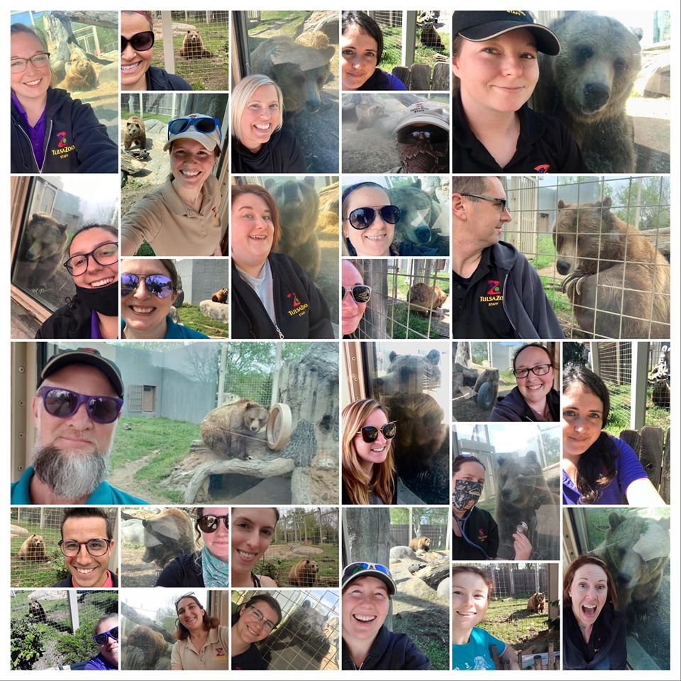 While we were closed, Rainy's zookeepers noticed she was missing the interaction with guests and put out a call for staff to visit. Immediately staff from all departments did just that. #ittakesazoo #zooheroes #NZKW2020 

Be sure and say hi to Miss Rainy next time you're here 😊