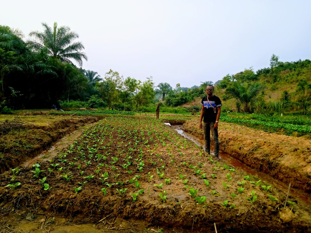 Visite de Coordonnateur de <a href="/MinzotoW/">Centre Minzoto W'Africa Asbl</a> dans le quartier SAYA <a href="/Vodacomcongo/">Vodacom RDC</a> <a href="/FAORDCongo/">FAO en République démocratique du Congo</a> <a href="/PNUDRDC/">PNUD RDC</a> @CIFOR_forets <a href="/pnudfr/">ONU Développement</a> <a href="/Cordaid/">Cordaid</a> <a href="/CaritasCongo/">Caritas Congo Asbl</a> <a href="/USAIDAfrica/">USAID in Africa</a> <a href="/Misereor/">Misereor</a> <a href="/Abbe_Pierre/">Abbé Pierre</a> Nous avons besoin de vos participations pour soutenir la population de cette partie vulnérable. <a href="/OSISA/">OSISA</a>