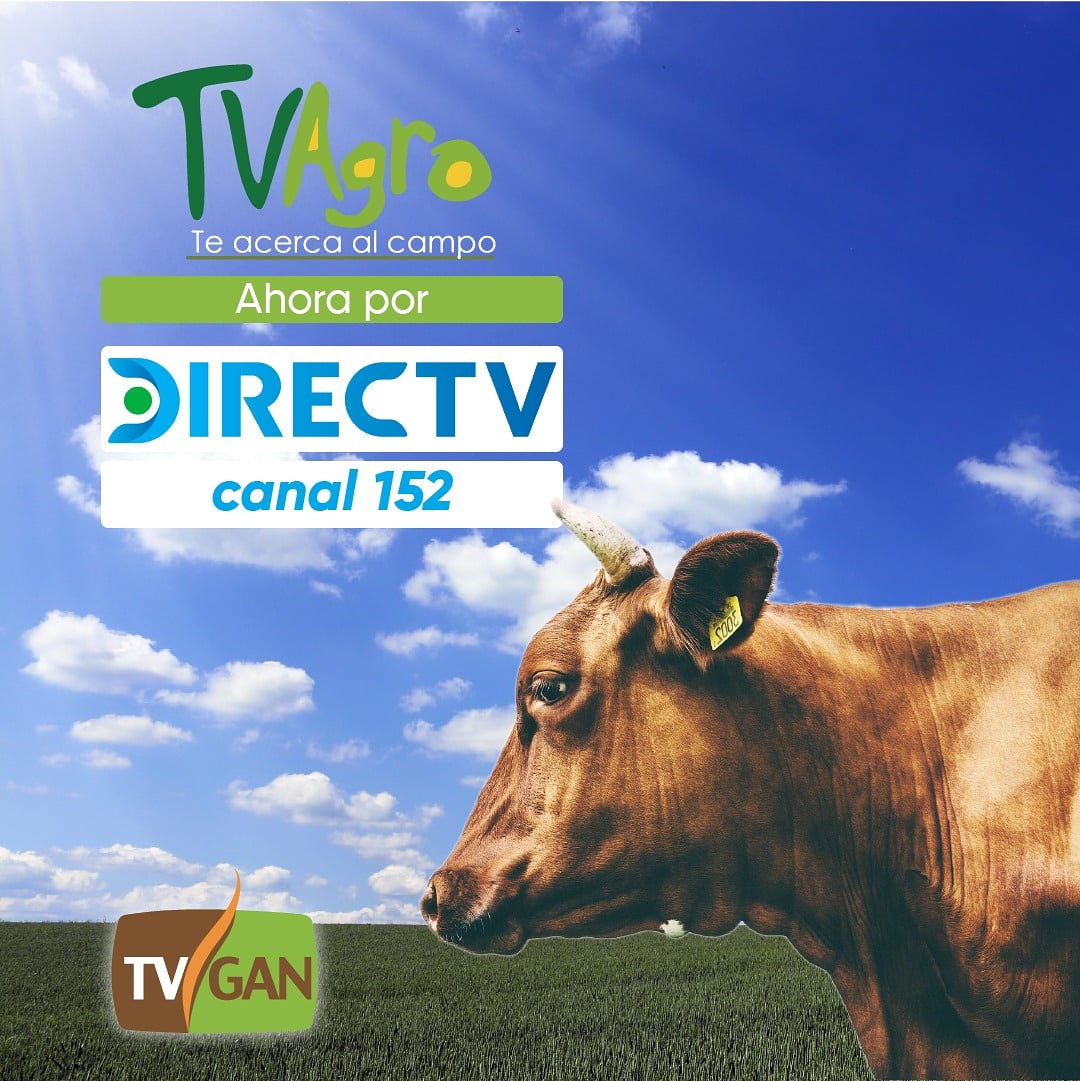 TvGanColombia's tweet photo. 🐮El sonido de los animales🐮, la magia del campo y sus colores🐂🐃🐄, llegan a tu casa🏡. Estamos en TIGO, CLARO y ahora en @DIRECTVCo 🇨🇴 en el canal 152 🏞️. https://t.co/ZV8D6MeYv3
