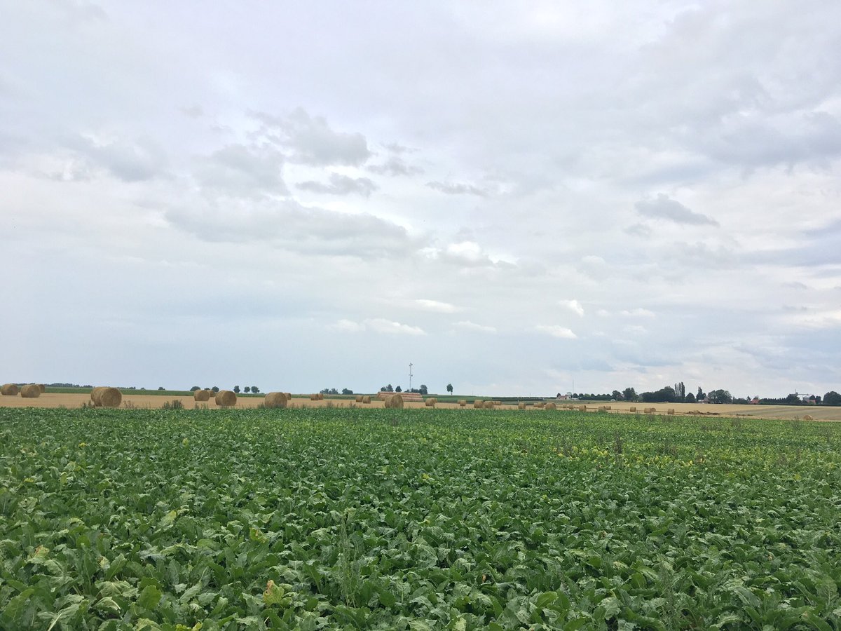 On this day 104 years ago the 1st Australian Division assaulted the strongly fortified village of Pozieres on the Somme. Within 24 hours they had taken the village. So began a six week long struggle that saw huge casualties incurred by both attacker and defender. More...