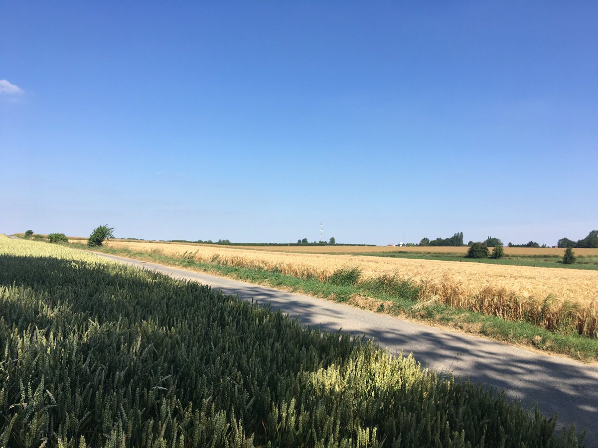 On this day 104 years ago the 1st Australian Division assaulted the strongly fortified village of Pozieres on the Somme. Within 24 hours they had taken the village. So began a six week long struggle that saw huge casualties incurred by both attacker and defender. More...