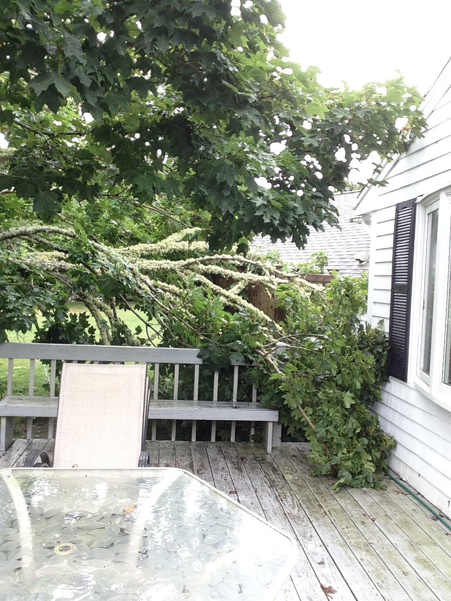 ClappNathan's tweet photo. @ericfisher Yes. Were down here during that. We were just reminiscing about this - Couple minutes of scariness followed by crazy tree damage that day https://t.co/migS9oK302