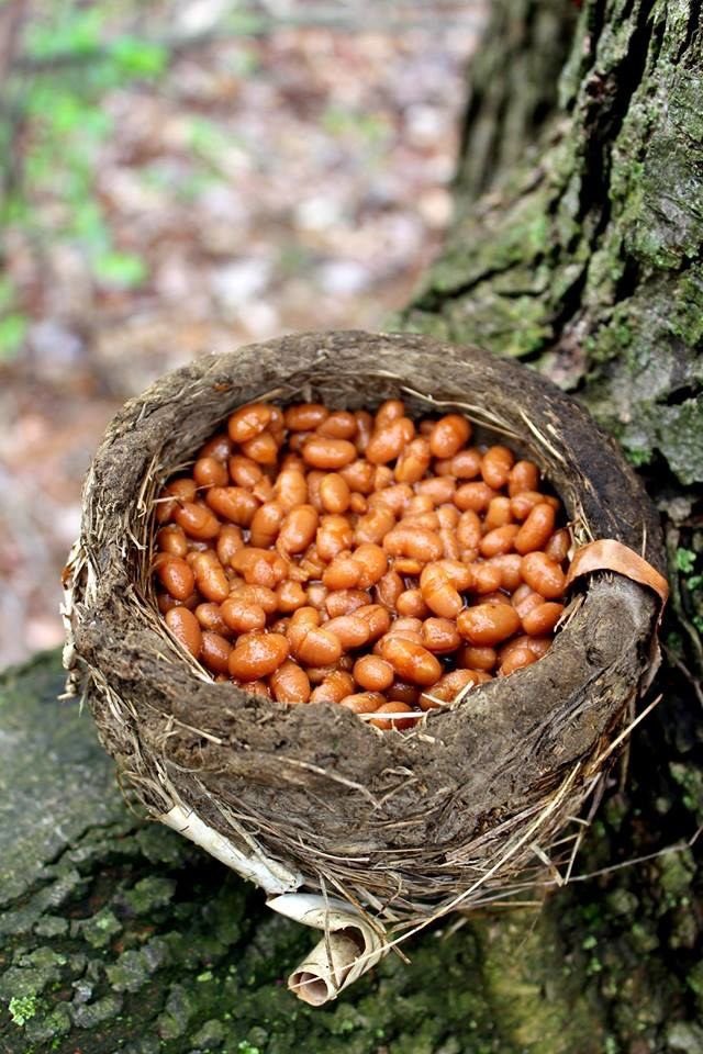 A THREAD; Beans in places they shouldn’t be