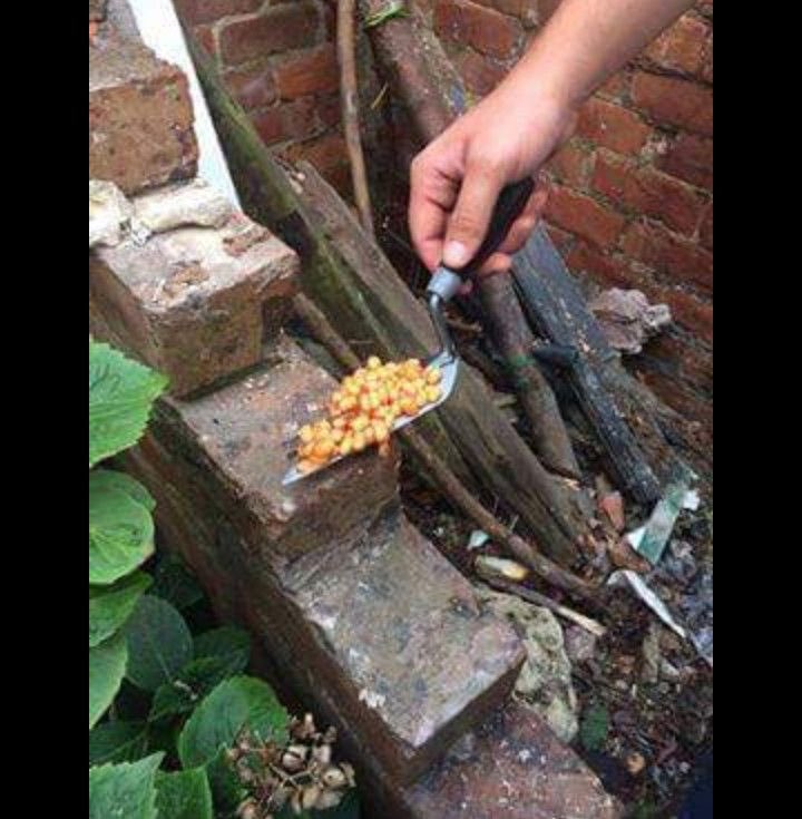 A THREAD; Beans in places they shouldn’t be