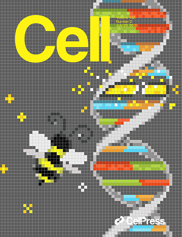 Thank you <a href="/CellCellPress/">Cell</a> for featuring my co-first author study on base editing and machine learning in the current issue -- the cover is pixel art I designed :) cell.com/cell/issue?pii…