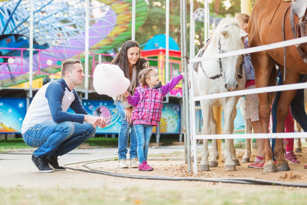 The deadline for the County Fair Building Grant is quickly approaching! All applications must be submitted by August 6th. 
ow.ly/6pzt50AGanf