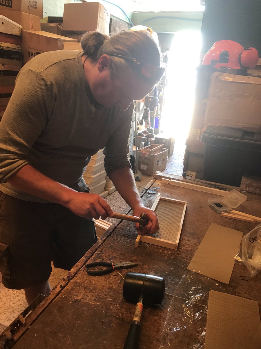 Goodlifeish's tweet photo. A few weeks ago we got to spend a wonderful morning with @TheBeeFarmer building our adopted hive. A fantastic morning and a great way to help the bees! We’d definitely recommend it to anyone, and a great way to help Mother Nature and the bees into the bargain! https://t.co/G7FbkI4mvY