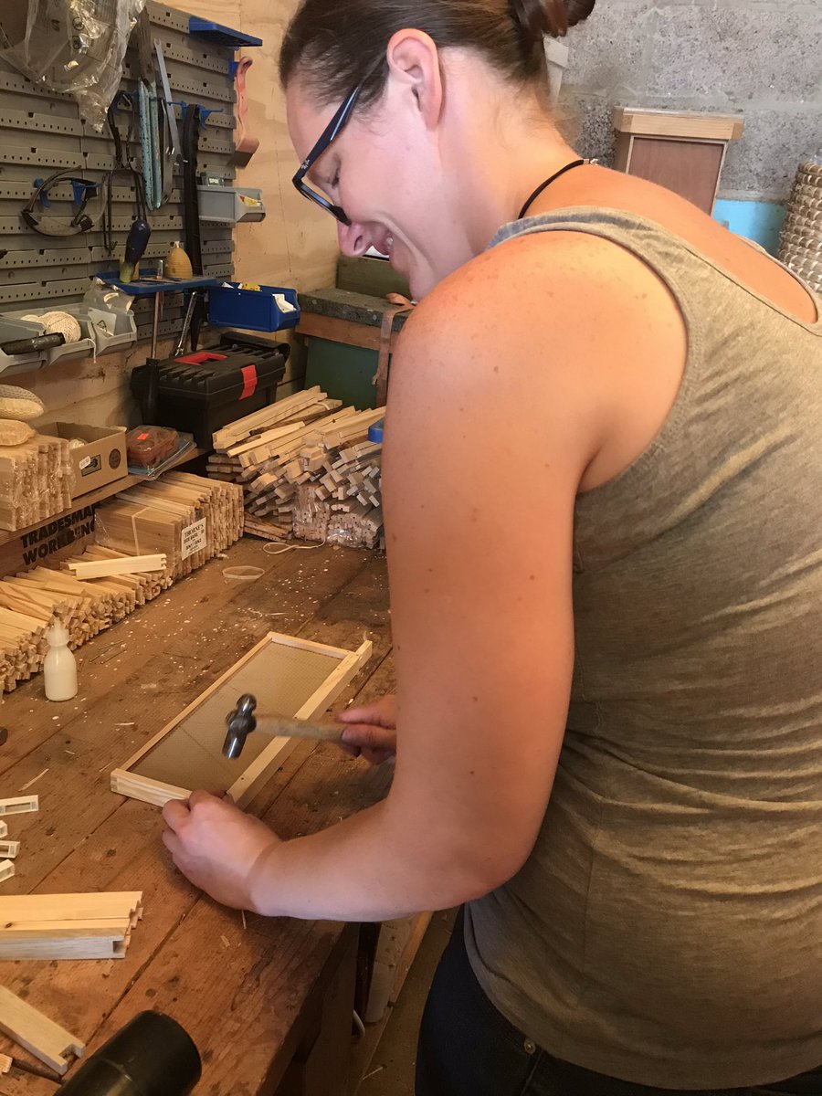 Goodlifeish's tweet photo. A few weeks ago we got to spend a wonderful morning with @TheBeeFarmer building our adopted hive. A fantastic morning and a great way to help the bees! We’d definitely recommend it to anyone, and a great way to help Mother Nature and the bees into the bargain! https://t.co/G7FbkI4mvY