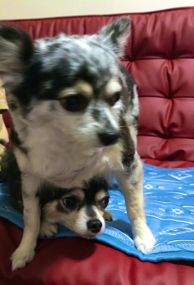 やり場のない気持ち