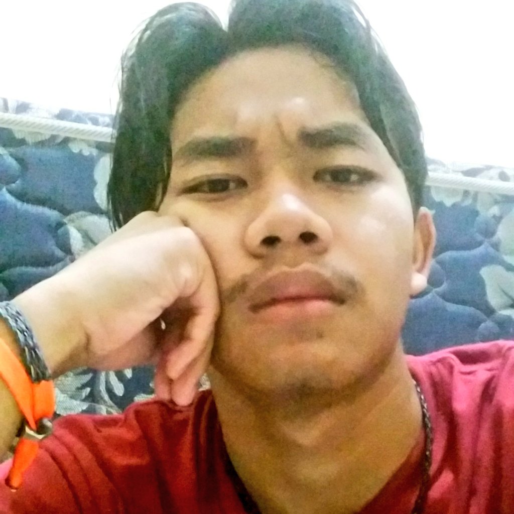 willygaring's tweet photo. Masih kecil lucu #gedenya?;( https://t.co/DdGFyRakLJ