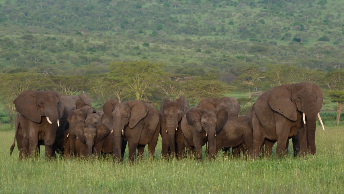 I am, however, a scientist & will support my collegues when they are attacked for bringing scientific evidence to inform debate: what has happened to  @AmyDickman4 this last week has been an atrocious abuse by people who ostensibly have the same goals  https://twitter.com/AmyDickman4/status/1285331920231038976. 2/7