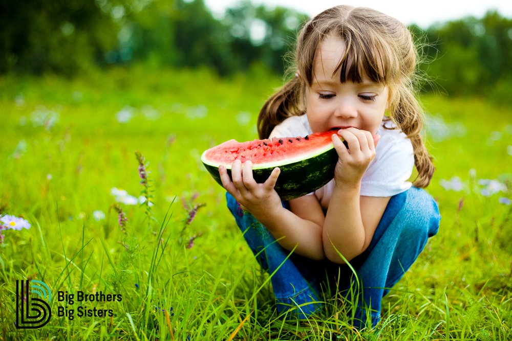 July is #NationalPicnicMonth! 

Enjoying a summer picnic is a great way to enjoy the outdoors and each other's company with your Little. Pack up the basket with some finger foods, snacks, and drinks and head out to your favorite park or outdoor location.