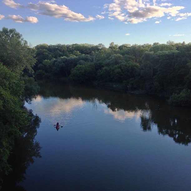 Penalosa_G's tweet photo. Nature goes on. #NatureEverywhere. #CitizensAlive: All Healthier &amp; Happier. @TRCA_HQ  @ChildrenNature @IUCN @WUParks @880Cities https://t.co/8LESa5Pa5d