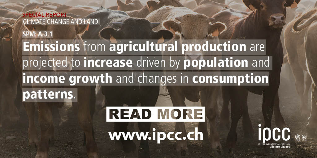 IPCC_CH's tweet photo. Findings from the Special Report on Climate Change Land (#SRCCL)
Agriculture, Forestry and Other Land Use (AFOLU) account for around 23% of human made greenhouse gas emissions. Around 44% of Methane (CH4) emissions come from AFOLU.
Read more: https://t.co/UDbIRKsOtm
#IPCC https://t.co/q4og7JzUyU