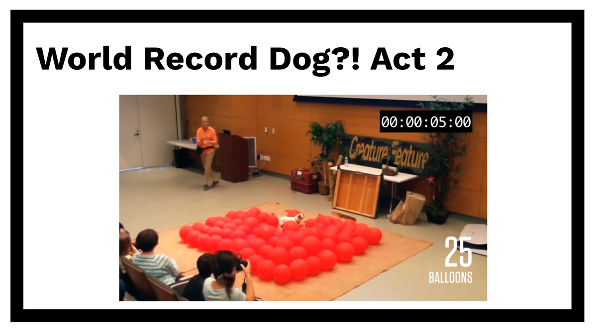 MsKMarshall_RSP's tweet photo. #HDSBSummerLearning Camp Three-Act Task Thursday was amazing! Started our math thinking with broken calculator, @BerkeleyEverett Math Flips cards - loved hearing all the strategies they used to figure it out! Math talk continued with the World record balloon popping dog! https://t.co/1PEbaqOwIg