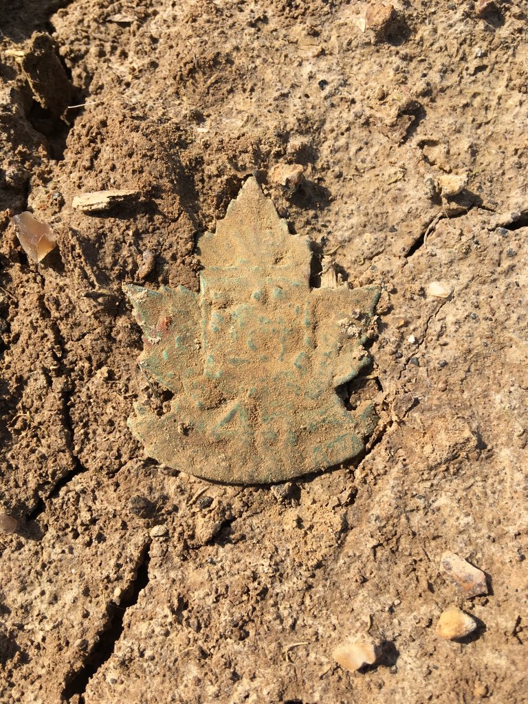 Finally the Australian divisions, utterly exhausted were relieved by the Canadians on 2/3 September. Mouquet Farm still stood defiant and would remain a bastion of German defence until 26/9/1916. Canada turn to suffer the terrors of the Somme had come.