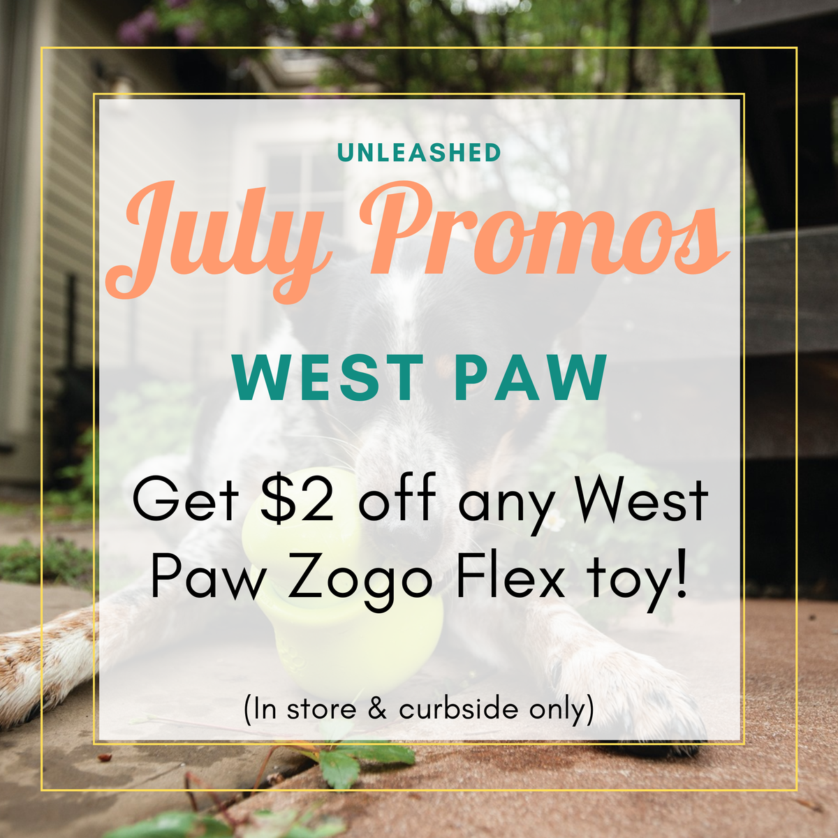 UnleashedCVM's tweet image. For July get $2 off any @westpawUS Zogo Flex toy! Bouncy, buoyant, tough- perfect for summer! Available in store or curbside! Check our site for curbside info 🌞🐶❤
#shoplocalraleigh #dogs #petsofthetriangle #cats #unleashedthedogandcatstore #crabtreevalleymall