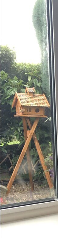Ivimartha's tweet image. So some scumbag entered our garden in Penshaw Wearside last night and stole our bird table. This was a birthday present from my elderly parents. This brought me joy every day but no more. May you rot in hell and your thieving hands drop off 😡