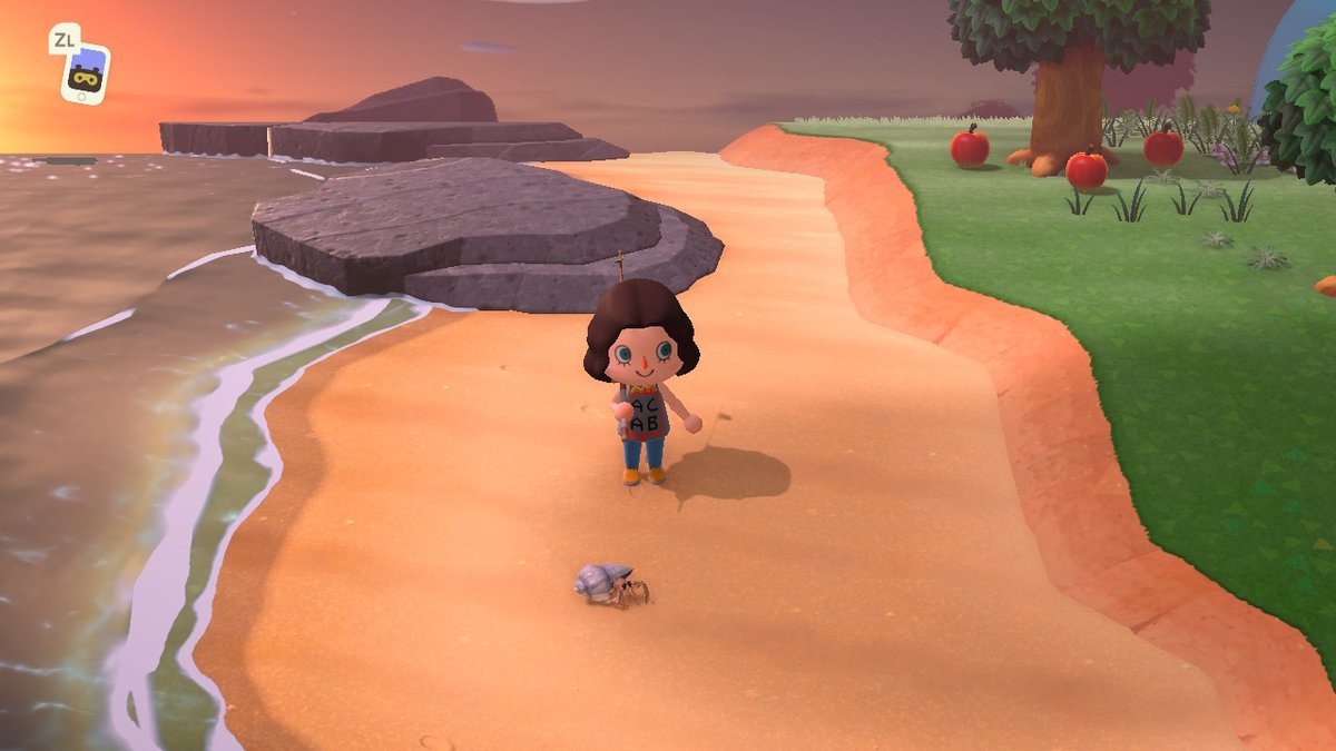 sunnyflan's tweet photo. im posting all of my pics so i can delete em #AnimalCrossing #ACNH #NintendoSwitch https://t.co/MHnGqEazOi