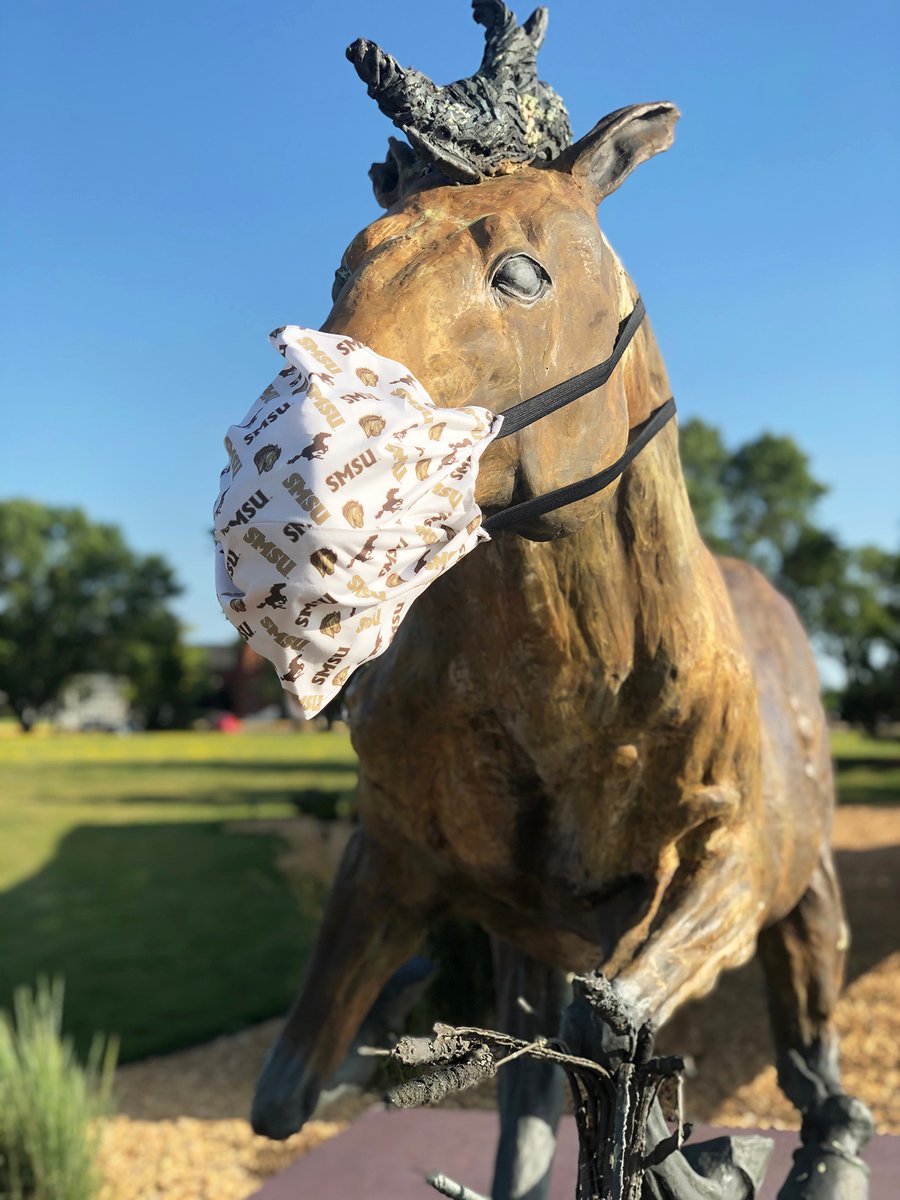 SMSUToday's tweet photo. 'Our Horse' wears a custom mask today to honor the faculty/staff/friends who are sewing 400 of these masks, to be handed out to first-year students this fall semester. #MustangMasks https://t.co/Sric8fmwFQ