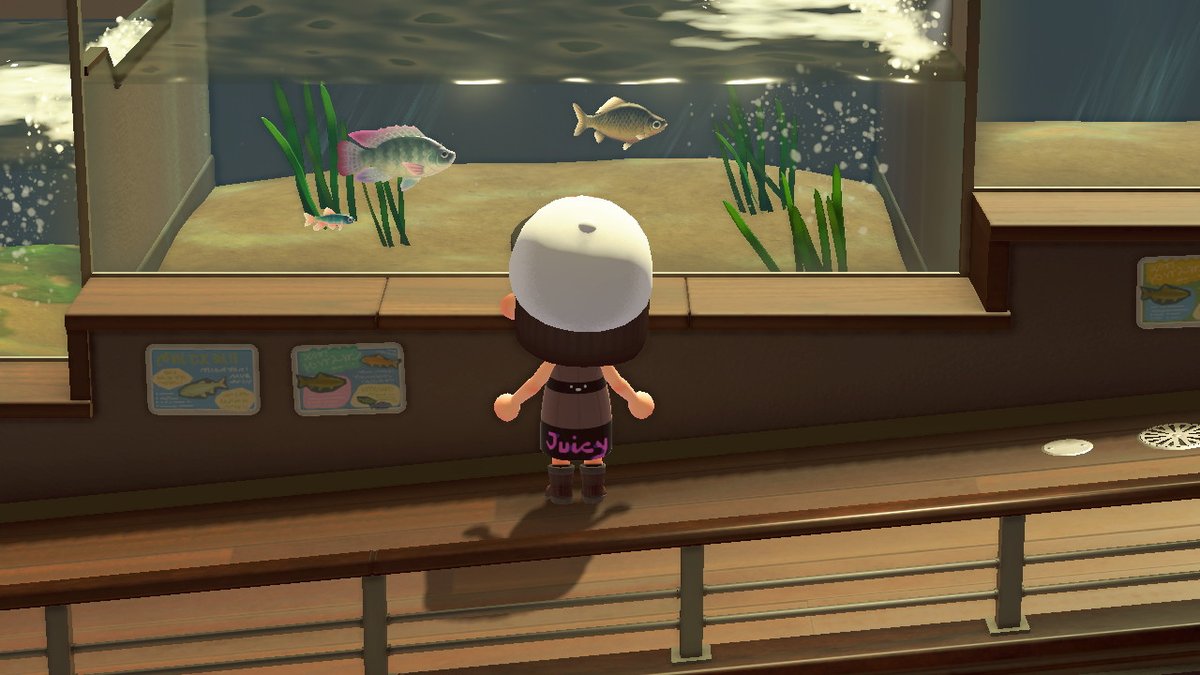 sunnyflan's tweet photo. #AnimalCrossing #ACNH #NintendoSwitch https://t.co/iMggWinTso